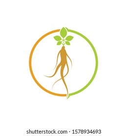 ginseng illustration icon vector design template