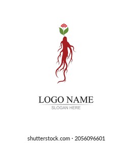 ginseng illustration icon vector design template