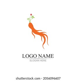 ginseng illustration icon vector design template