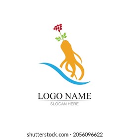 ginseng illustration icon vector design template