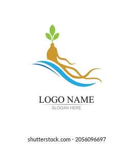 ginseng illustration icon vector design template