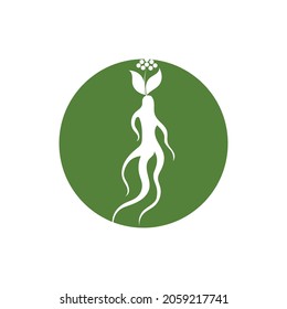 Ginseng-Illustrationssymbol, Vektordesign-Vorlage