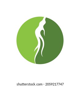 Ginseng-Illustrationssymbol, Vektordesign-Vorlage
