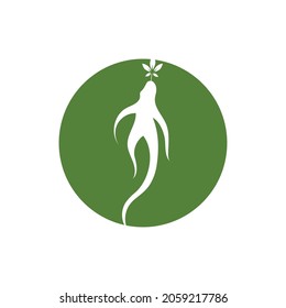 plantilla de diseño de vector de icono de ilustración de ginseng