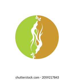 plantilla de diseño de vector de icono de ilustración de ginseng