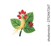 Ginseng Leaf with Ladybug Resting Flat Illustration