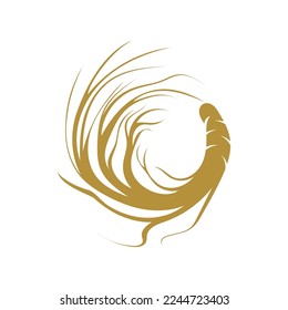 Ginseng Logo-Designvorlage und Symbol-Vektorgrafik