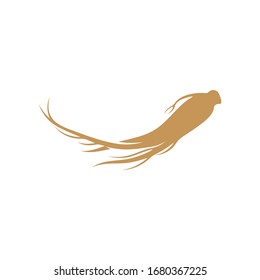 
Ginseng logo design vector template. Ginseng root on white background