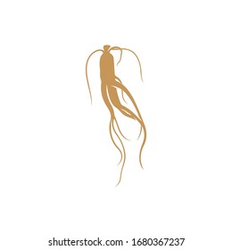 
Plantilla vectorial de diseño del logotipo Ginseng. Raíz de Ginseng sobre fondo blanco