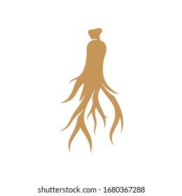 
Ginseng logo design vector template. Ginseng root on white background