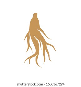 
Ginseng logo design vector template. Ginseng root on white background