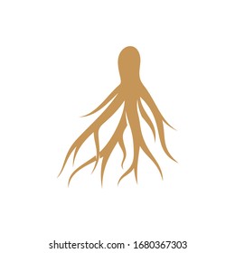 
Ginseng logo design vector template. Ginseng root on white background