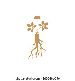 
Ginseng logo design vector template. Ginseng root on white background