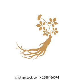 
Ginseng logo design vector template. Ginseng root on white background