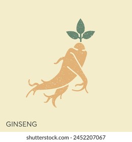 Ginseng logo design vector template. Ginseng root in vintage style. Vector Illustration