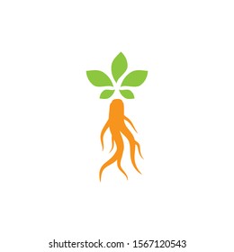 Ginseng logo illustration vector template