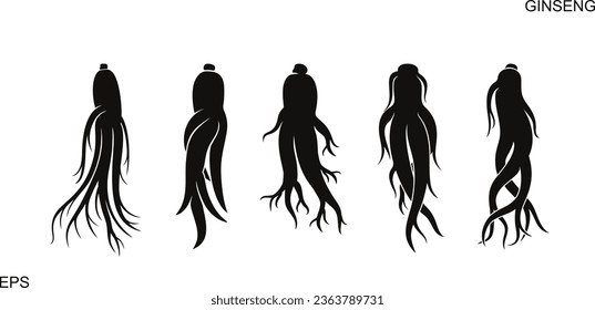 Ginseng logo. Isolated ginseng on white background