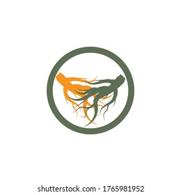 Ginseng  Logo Template vector symbol nature
