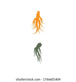 Ginseng Logo Vorlage Vektorsymbol