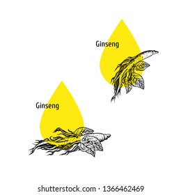 Ginseng oil icon set. Hand drawn sketch. Extract of plant. Retro isolated symbols. Vintage set. Linear graphic design. Vector illustration.