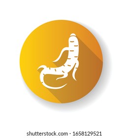 Icono de glifo de diseño plano anaranjado largo. Raíz herbal. Componente curativo para cicatrices y acné. Trato tradicional chino. Antioxidante orgánico. Ilustración de color RGB de silueta