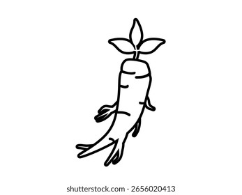 Ícone de contorno de ginseng isolado no fundo branco.