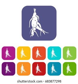 Ginseng panax root icons set