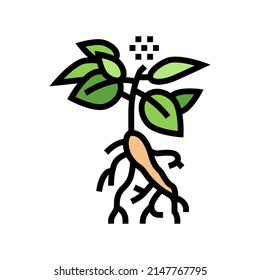 ginseng plant color icon vector. ginseng plant sign. isolated symbol illustration