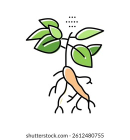 ginseng plant color icon vector. ginseng plant sign. isolated symbol illustration