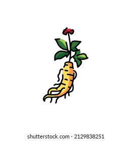 Ginseng plant color line icon. Pictogram for web page, mobile app, promo.
