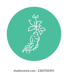 Ginseng plant color line icon. Pictogram for web page, mobile app, promo.