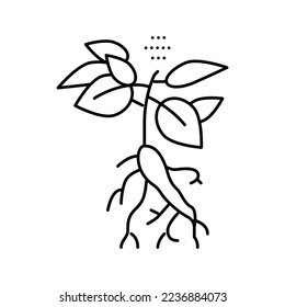 Ginseng-Pflanzensymbol-Vektorgrafik. Ginseng Pflanzenzeichen. isoliertes Kontursymbol