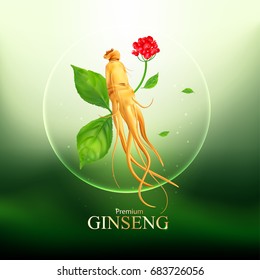 Ginseng Premium Vector