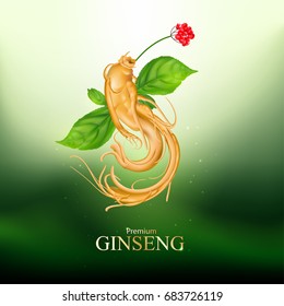 Ginseng Premium Vector