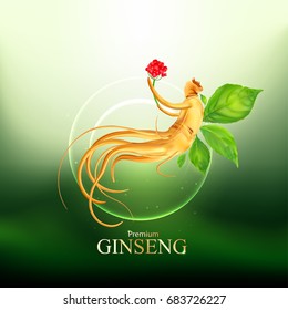 Ginseng Premium Vector