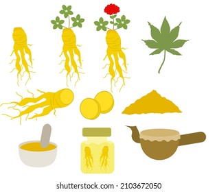 Ginseng root.Red flower, leaves and plant.Herbal medicine and medical treatment.Korean food and culture.Sign, symbol, icon or logo isolated.Cartoon vector illustration.Flat design.Doodle or clipart.