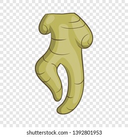 Ginseng root icon. Cartoon illustration of ginseng vector icon for web design