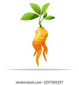 Raíz ginseng con hojas vector ilustración aislada