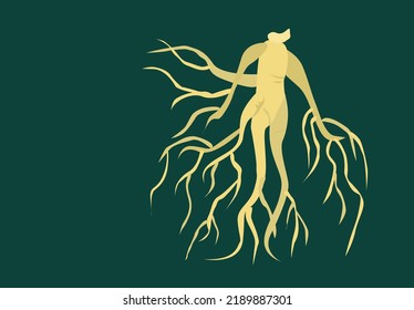 Ginseng Root on dark green background. Editable Clip Art.