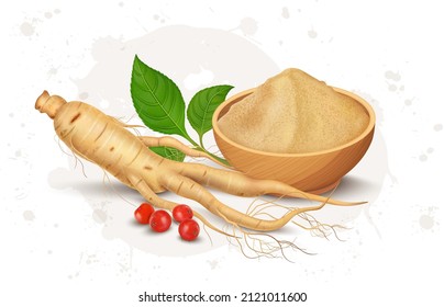 Ginseng root and powder vector illustration with ginseng seeds