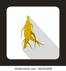 Ginseng rot icon in flat style on a baby whute background