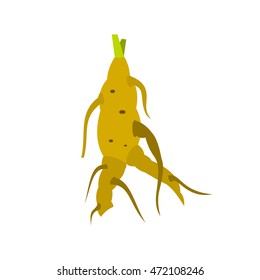 Ginseng rot icon in flat style on a white background