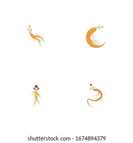 Ginseng set vector icon illustration design template