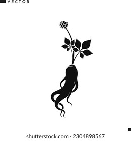 Ginseng silhouette. Isolated ginseng root on white background. Abstract plant with leaves vector. Chinese medicine