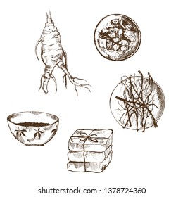 Ginseng sketch on white background. Medical plant. Vector illustration for pharmacy