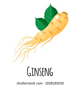 Ginseng Superfood-Wurzel für die Gestaltung, Kennzeichnung und Verpackung des Vorlagenbauernmarktes. Natürliche Energie Protein organische Lebensmittel. Vektorgrafik, einzelne Illustration.