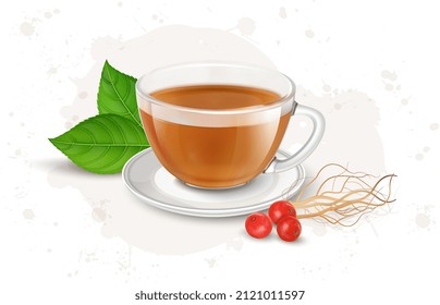 Ginseng tea  with ginseng dry roots and seeds-vector illustration 