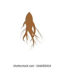 Plantilla de diseño de ilustración de icono de vector Ginseng