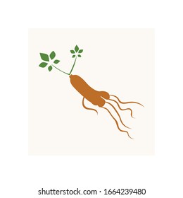 Ginseng vector icon illustration design template