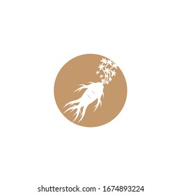 Ginseng vector icon illustration design template